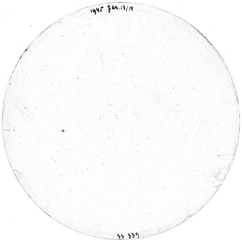 Scan SS00339