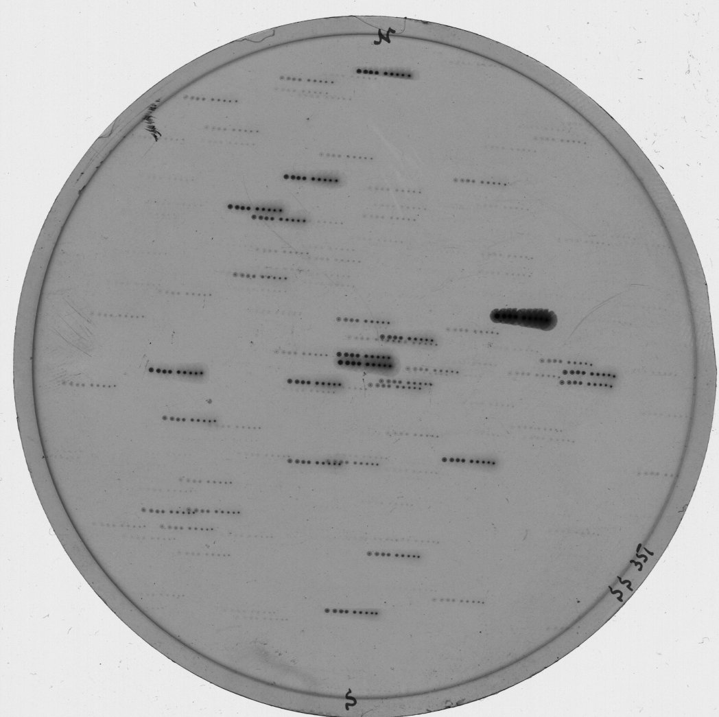 Scan SS00351