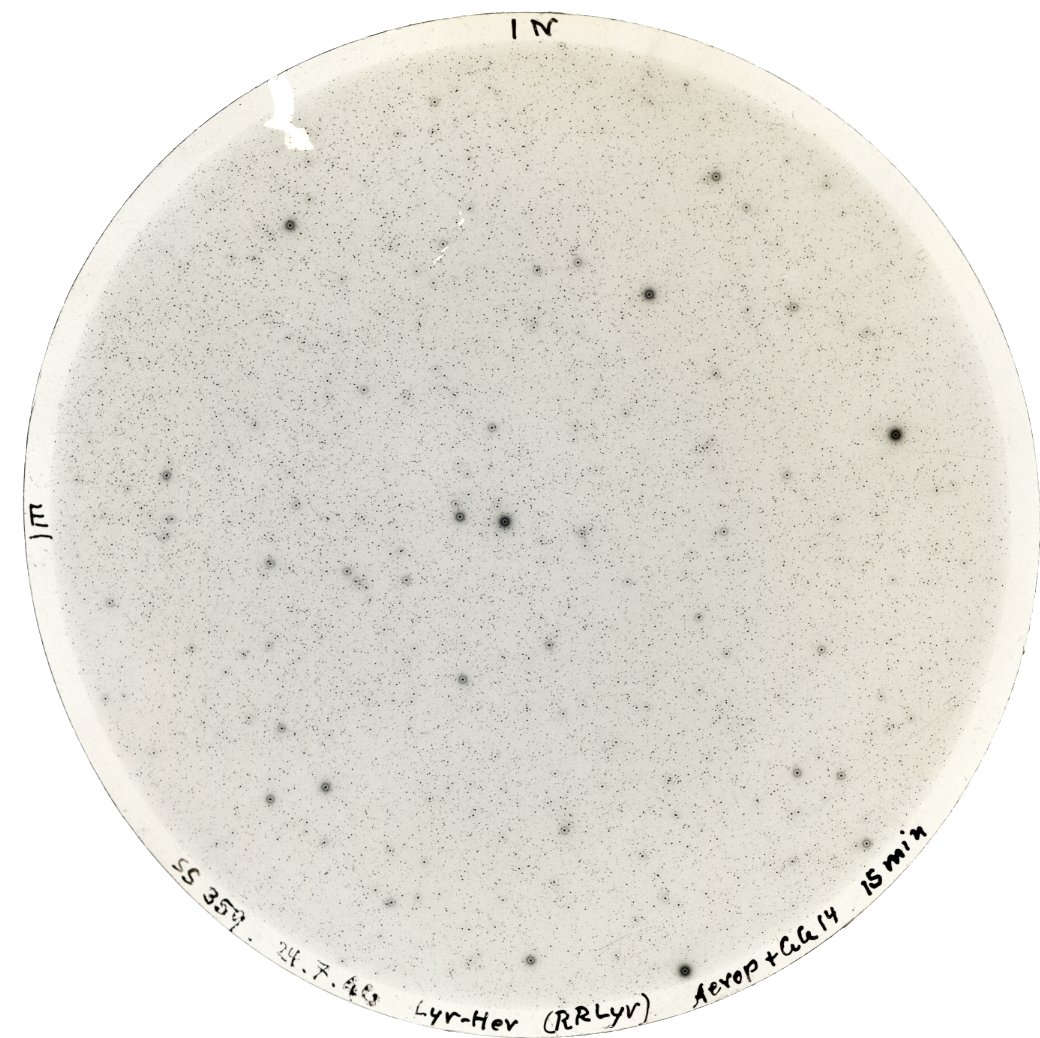 Scan SS00359