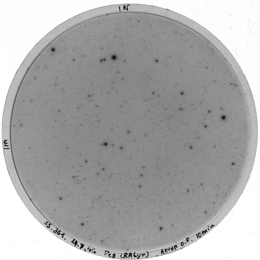 Scan SS00361