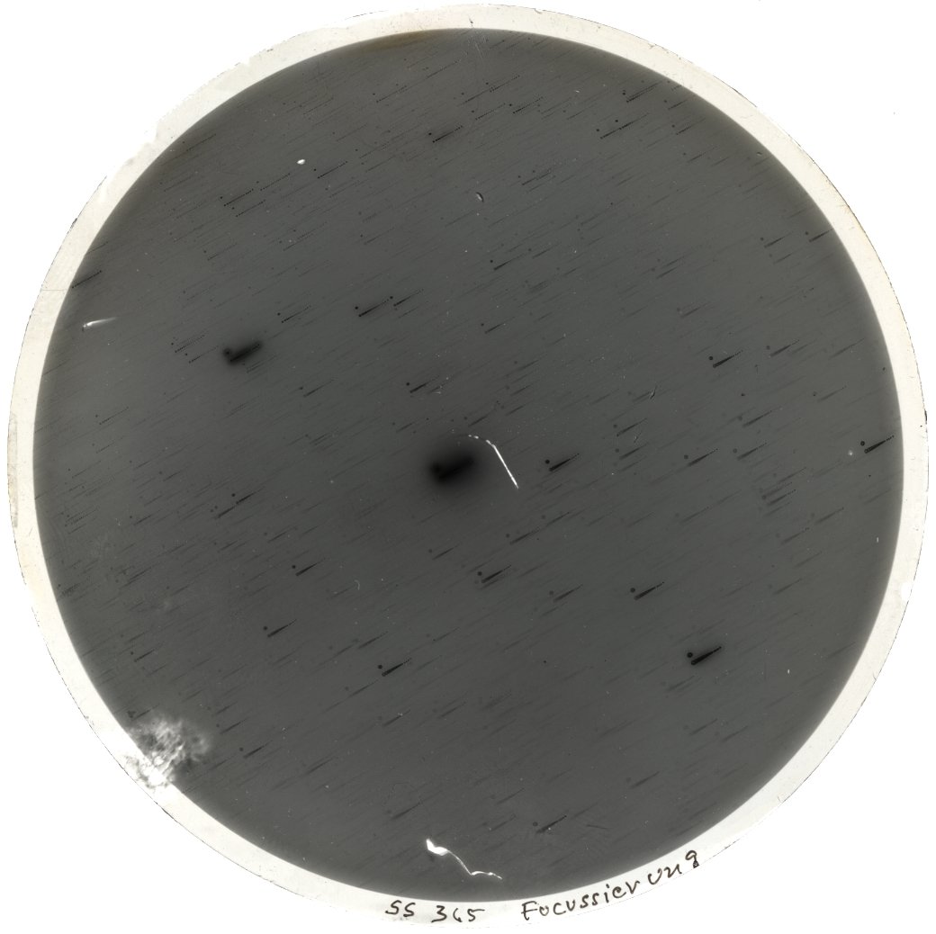 Scan SS00365