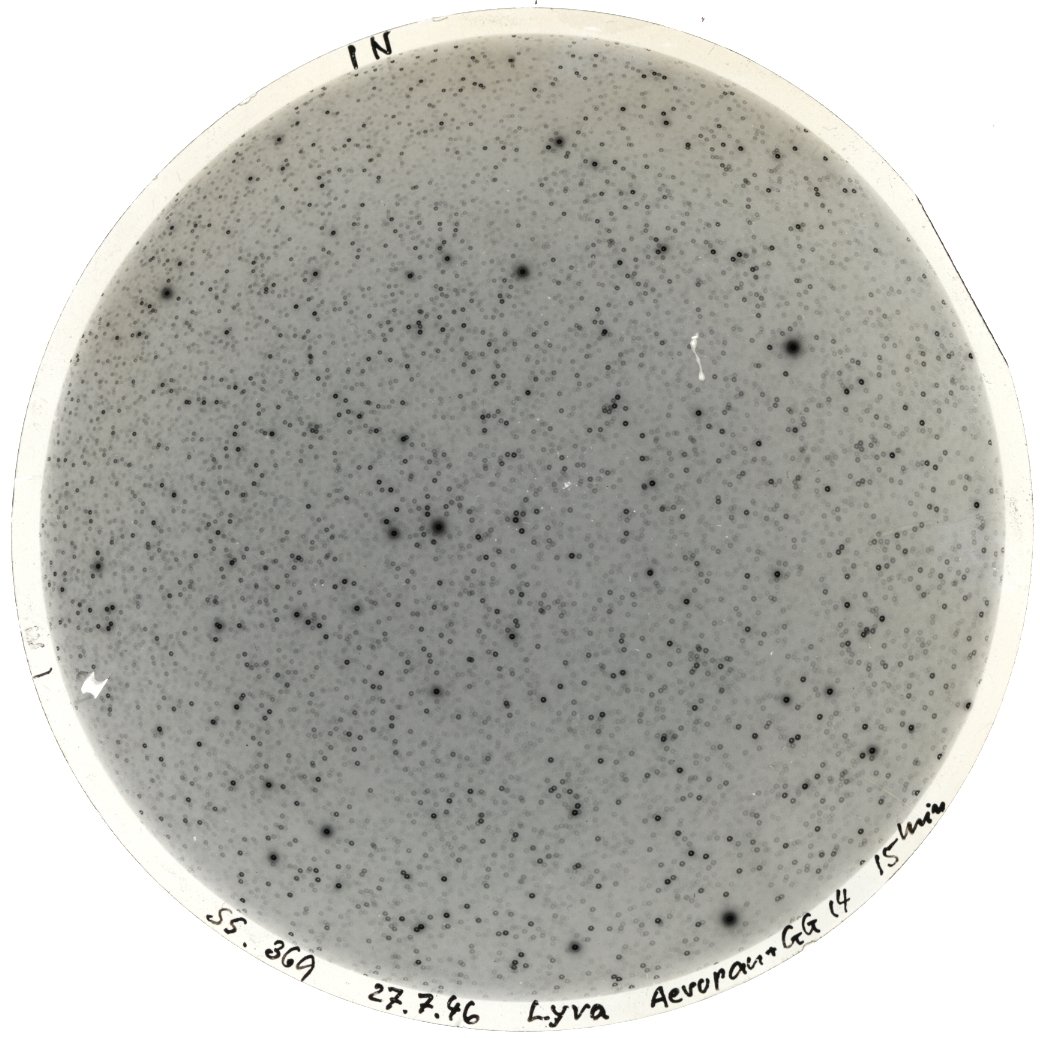 Scan SS00369