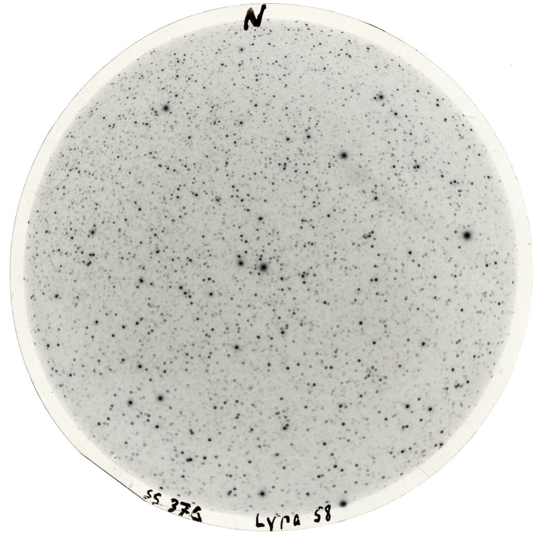 Scan SS00376