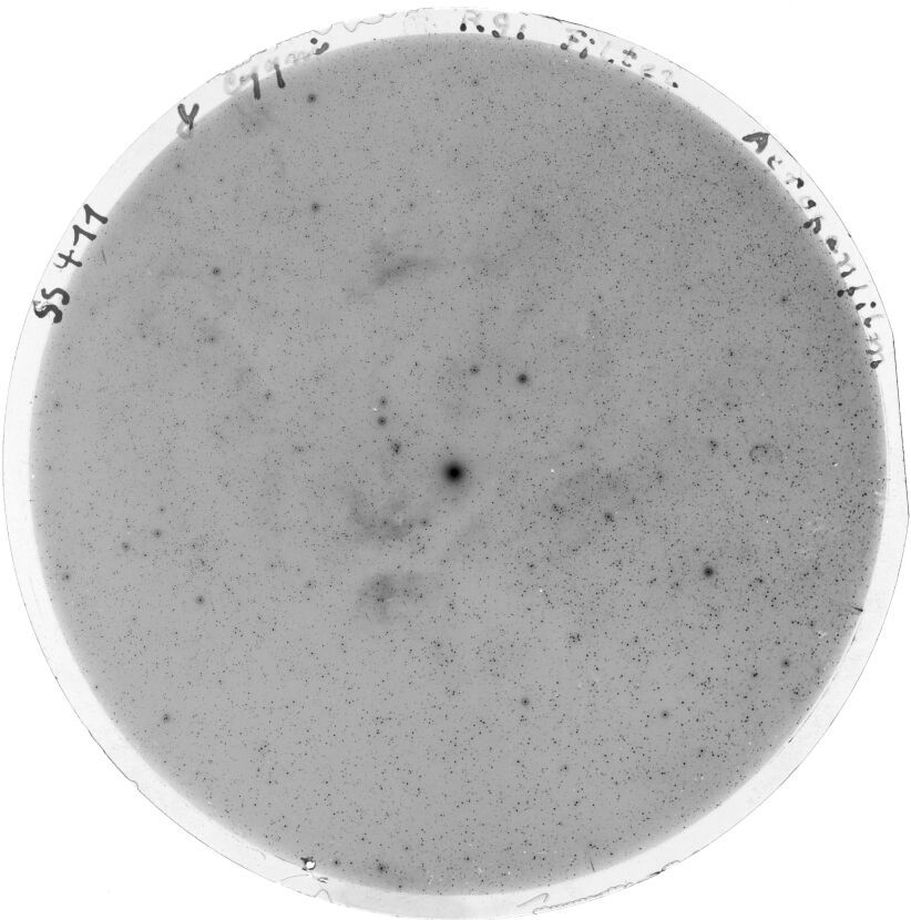 Scan SS00411