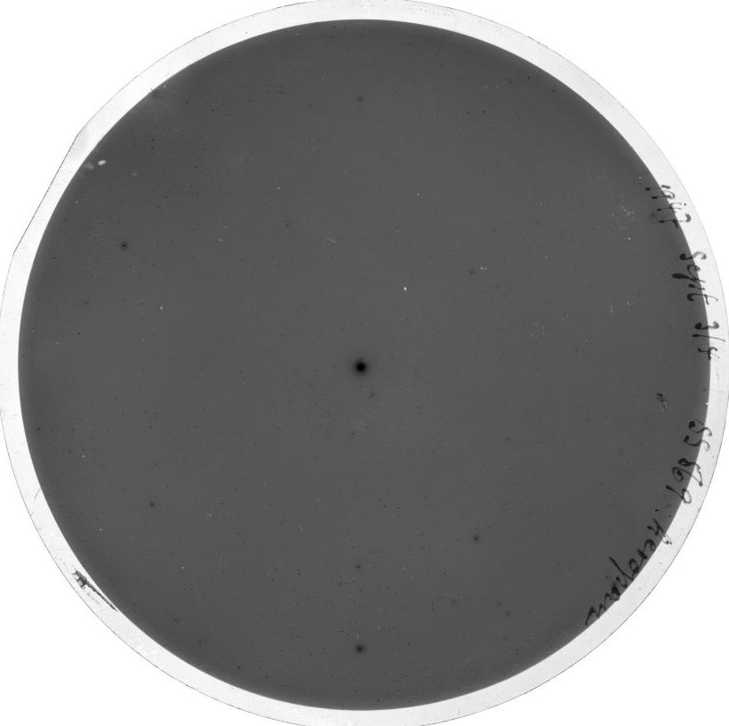 Scan SS00569c