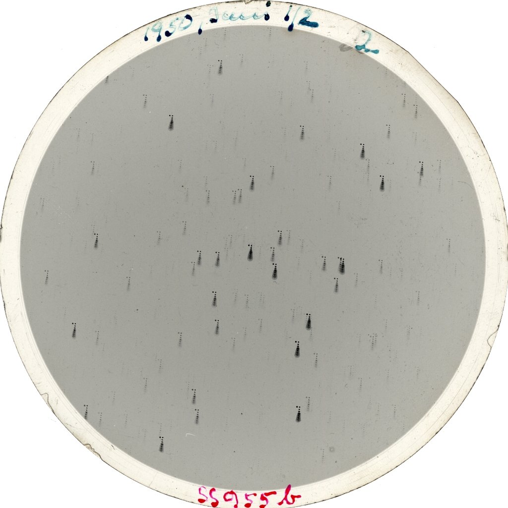 Scan SS00955b
