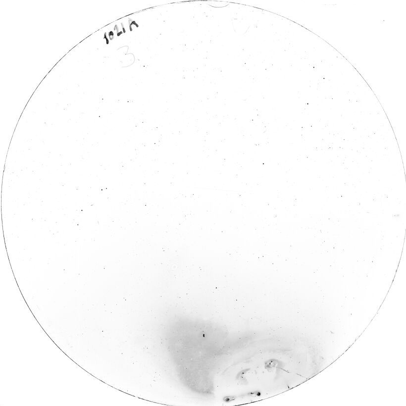 Scan SS01021a