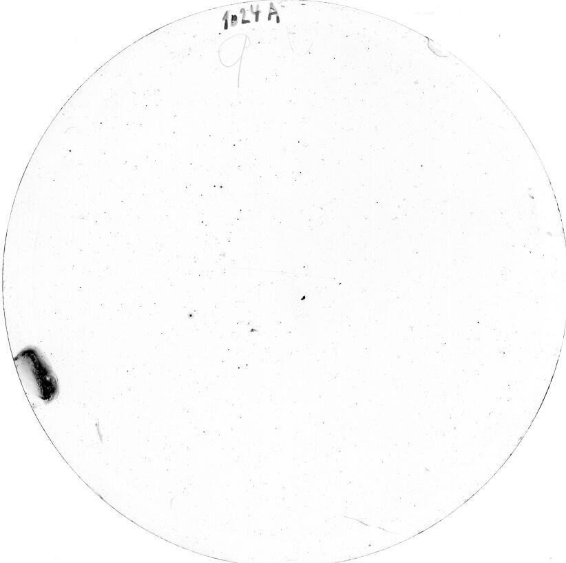 Scan SS01024a