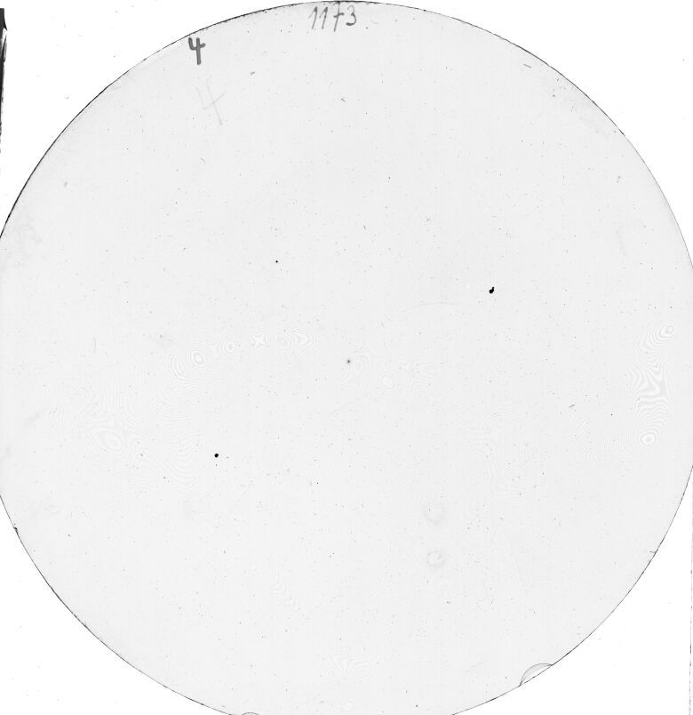 Scan SS01173