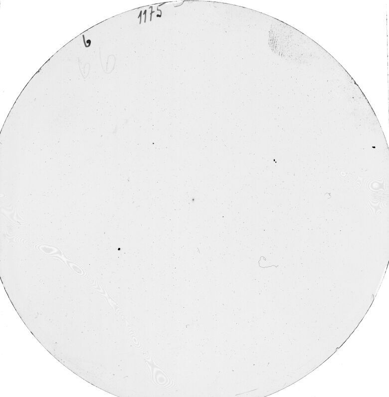 Scan SS01175