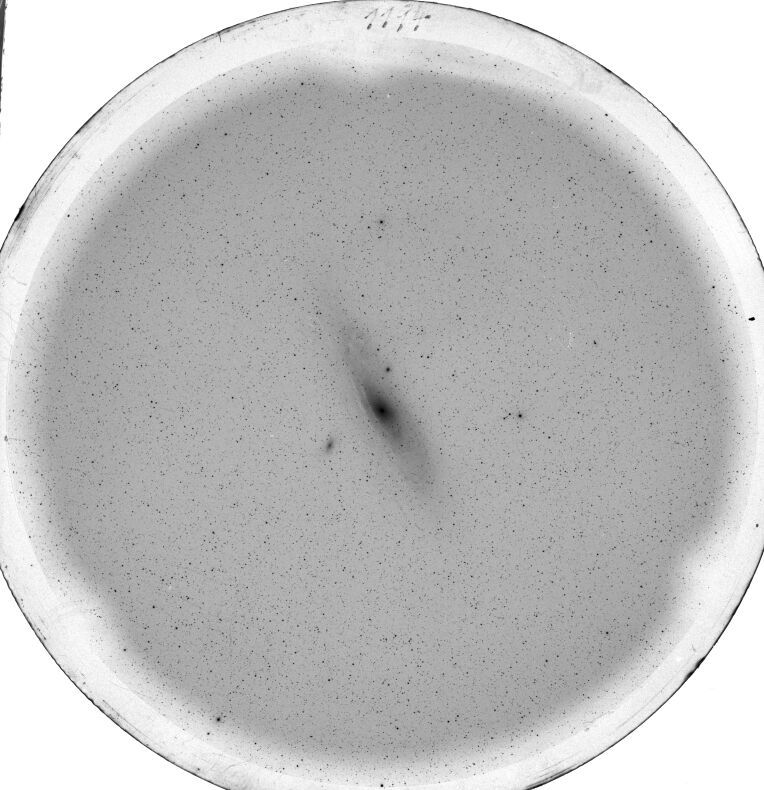 Scan SS01194