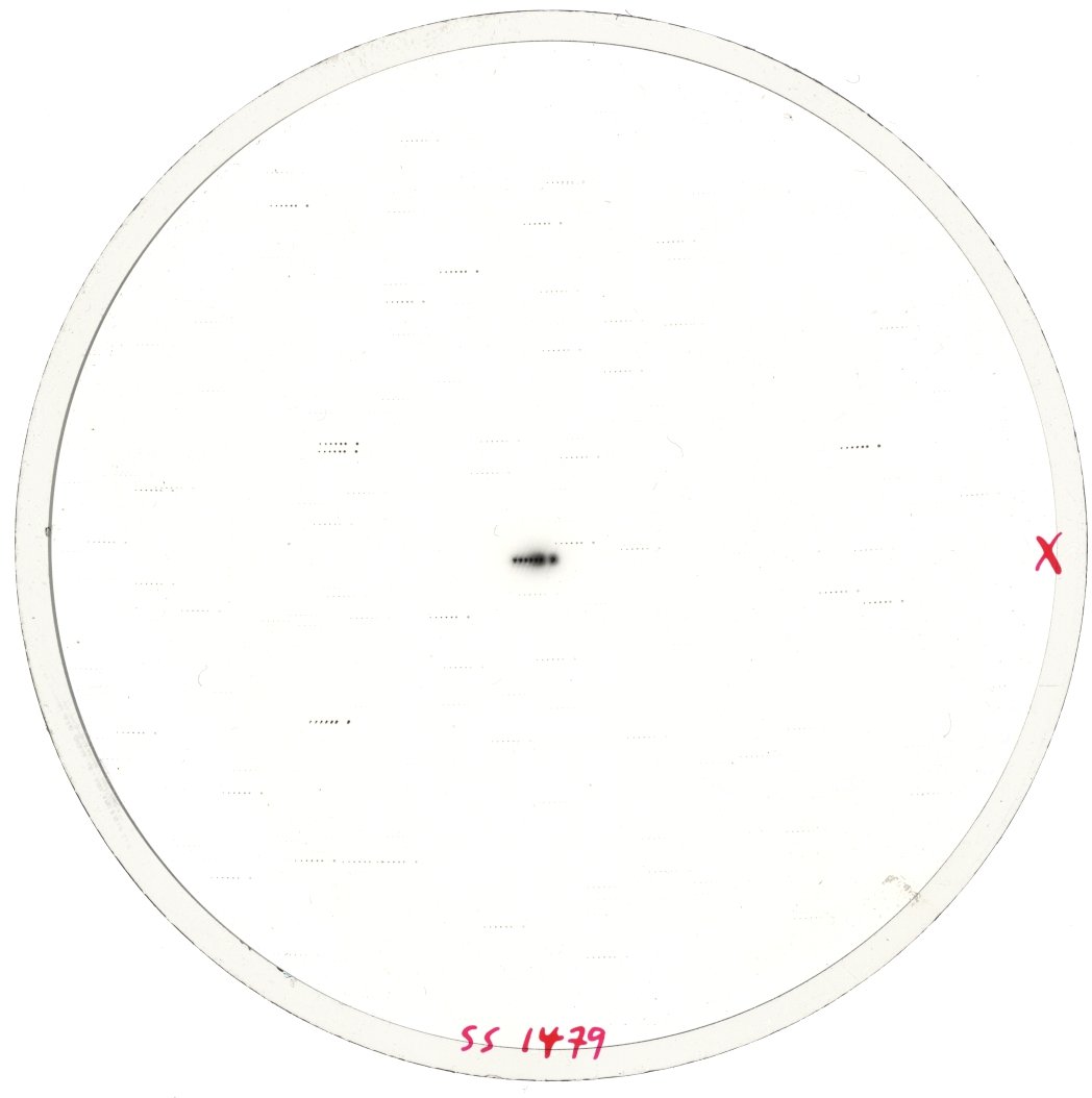 Scan SS01479