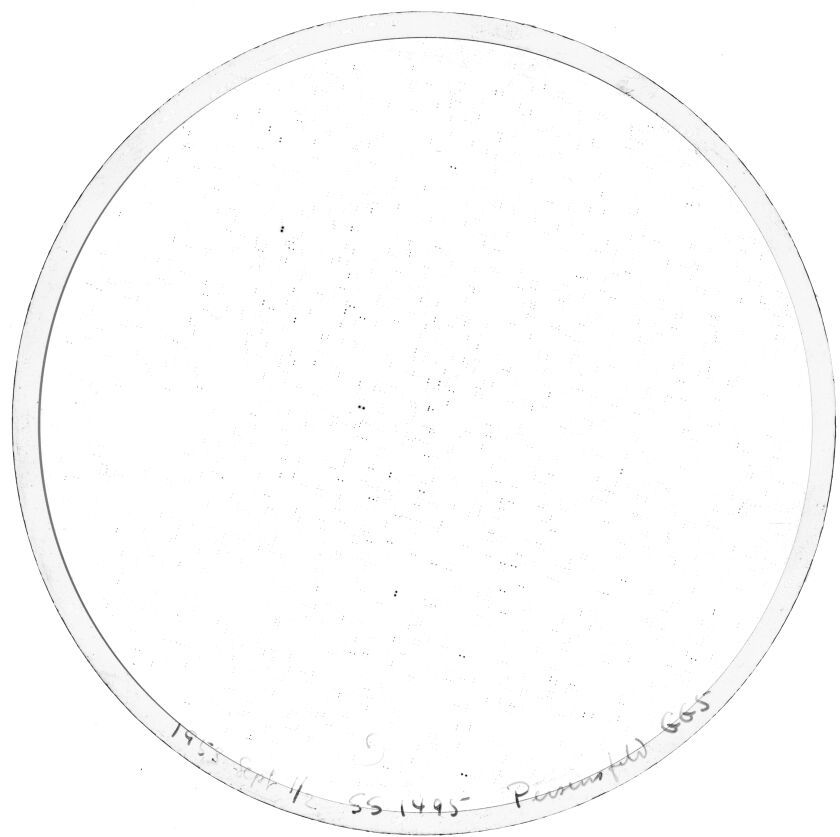 Scan SS01495