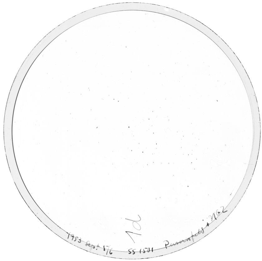 Scan SS01501