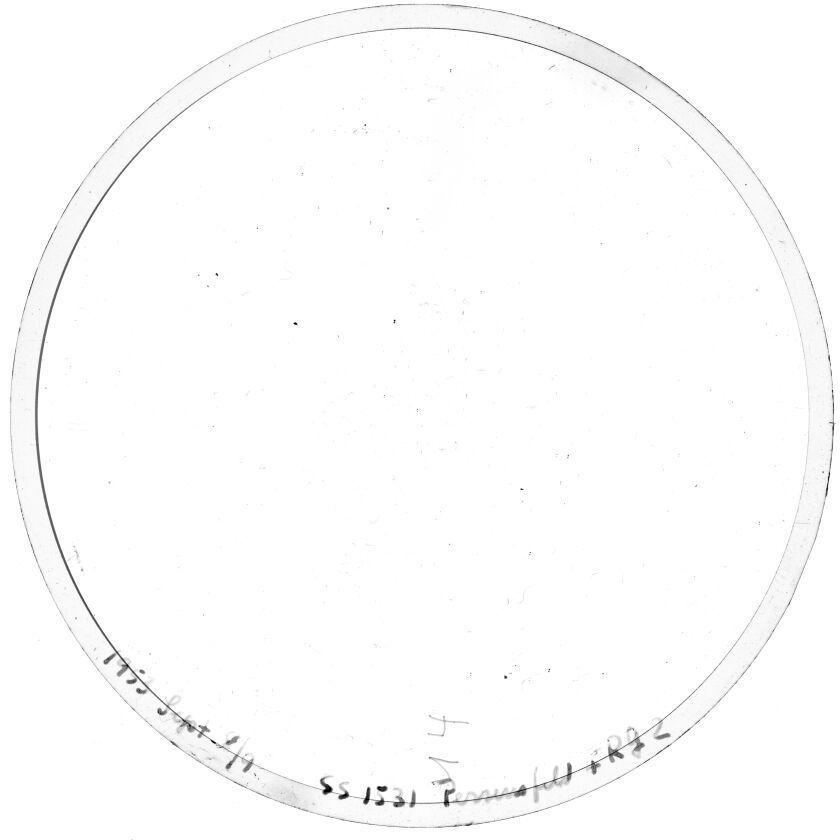 Scan SS01531