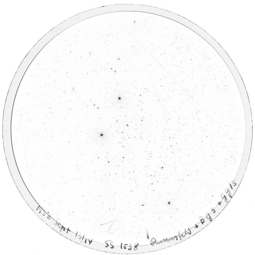 Scan SS01538