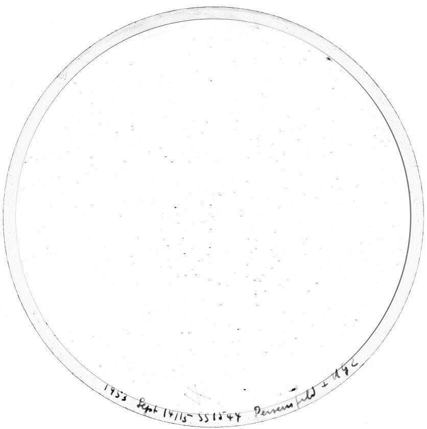 Scan SS01544