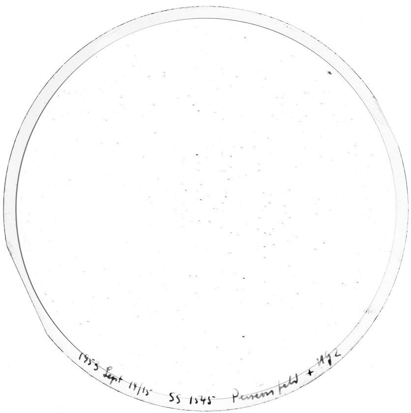 Scan SS01545