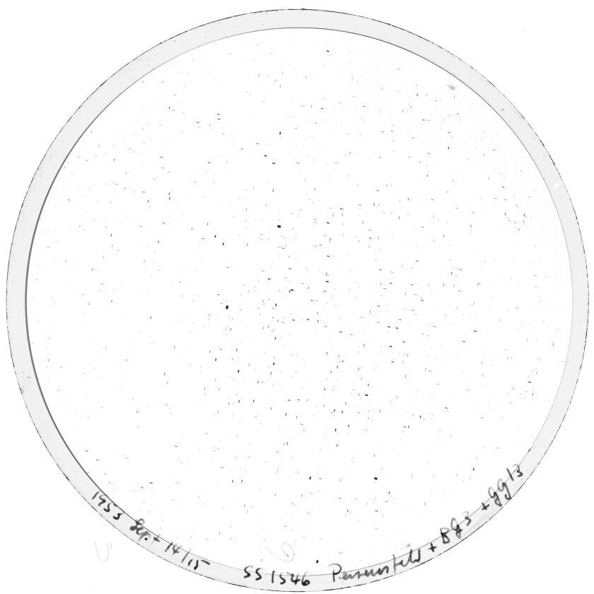 Scan SS01546