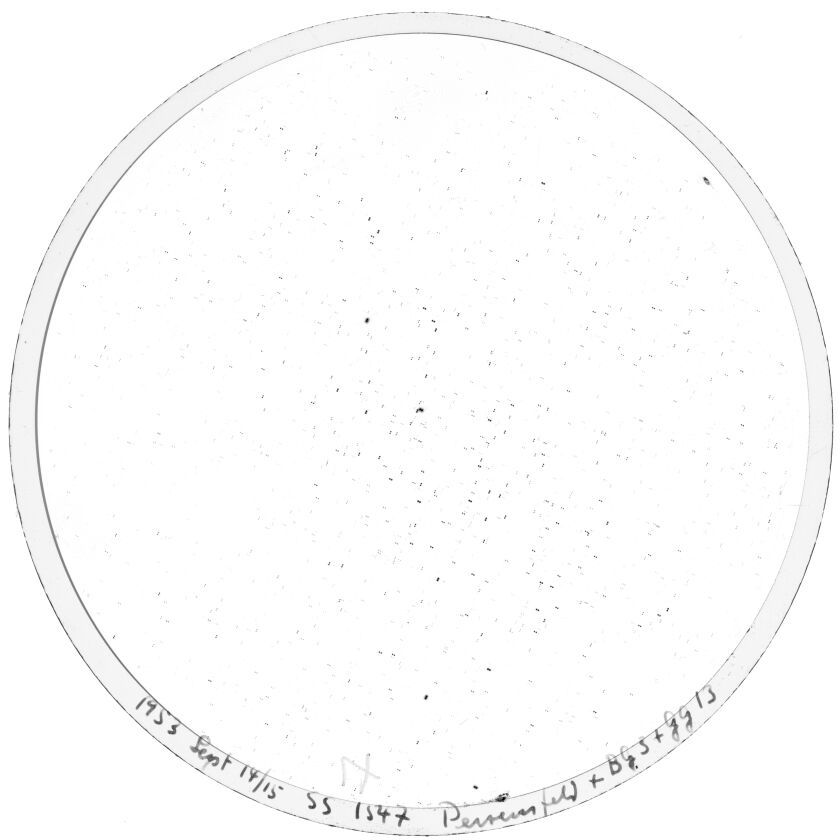 Scan SS01547