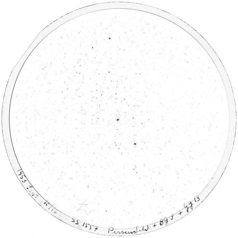 Scan SS01557