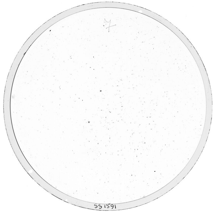 Scan SS01591