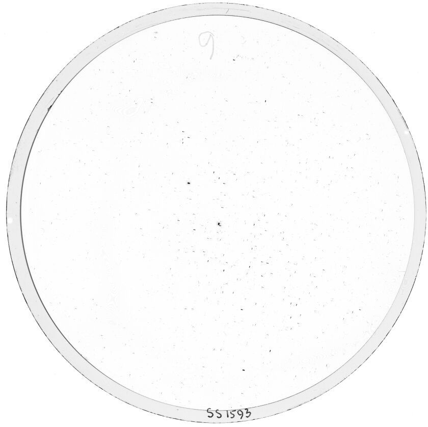 Scan SS01593