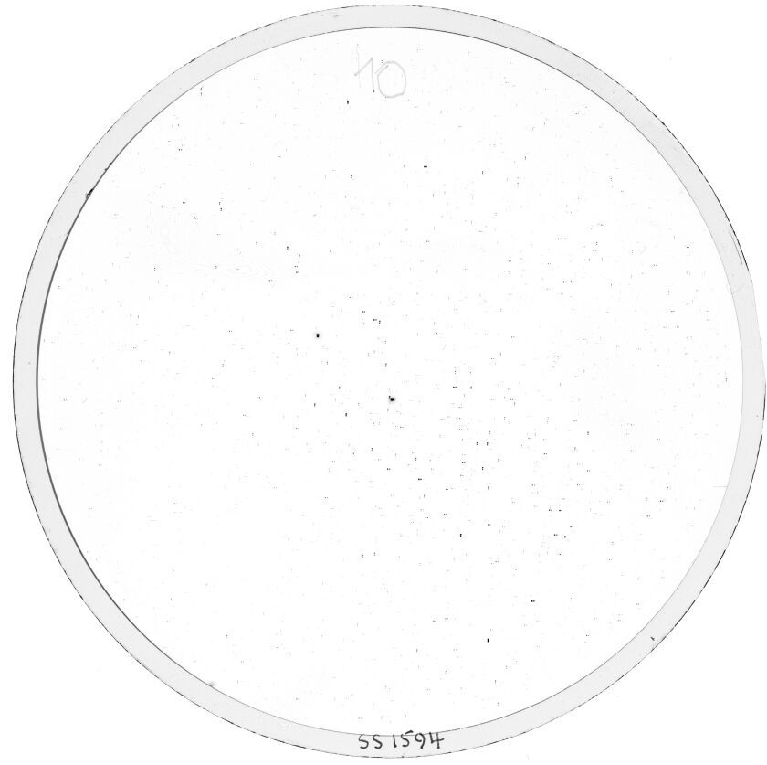 Scan SS01594