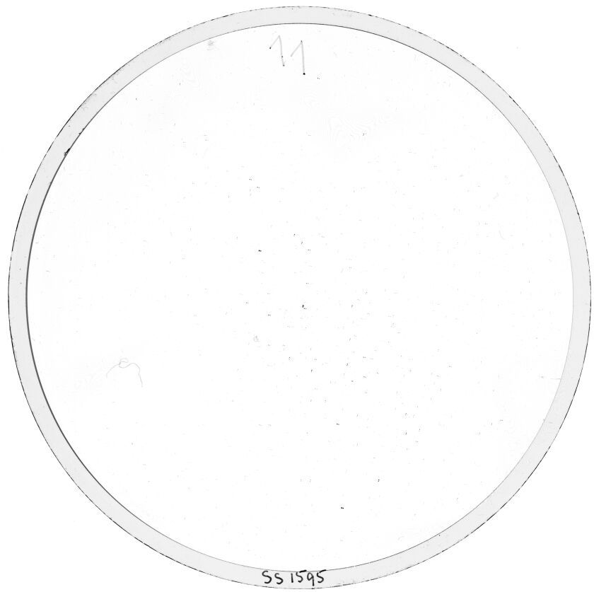 Scan SS01595