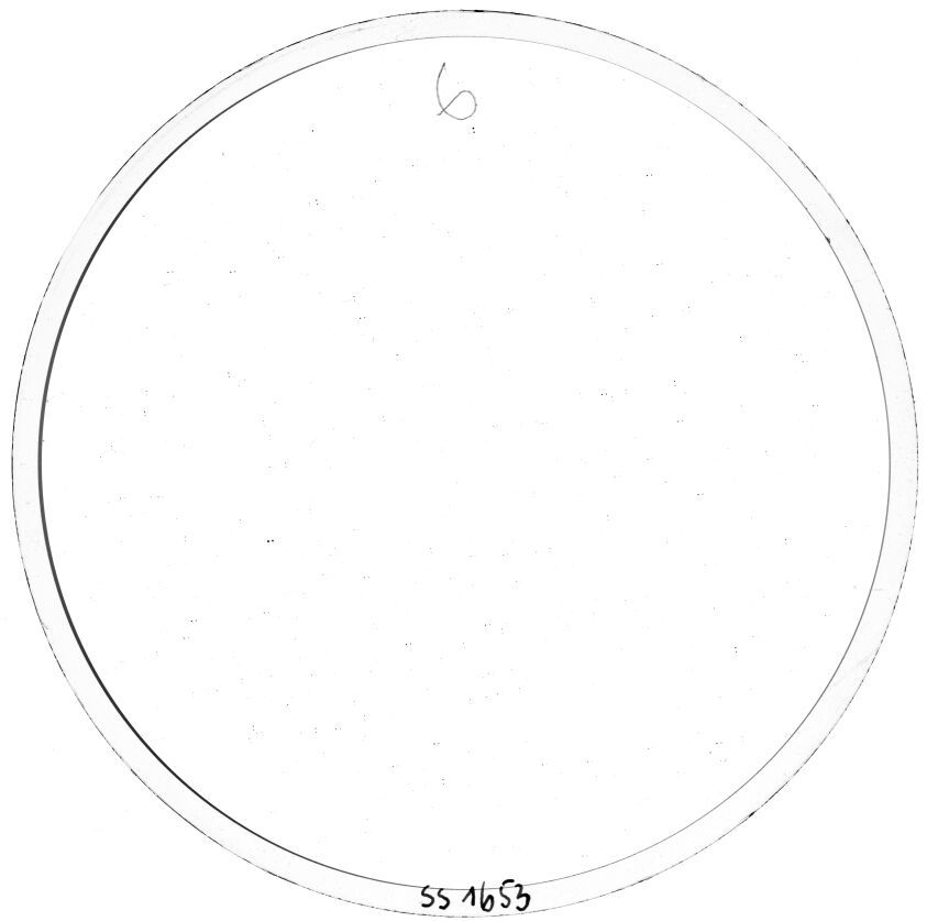 Scan SS01653