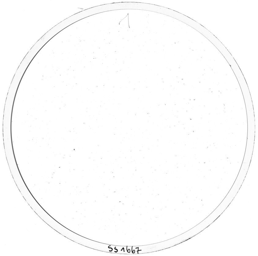 Scan SS01667