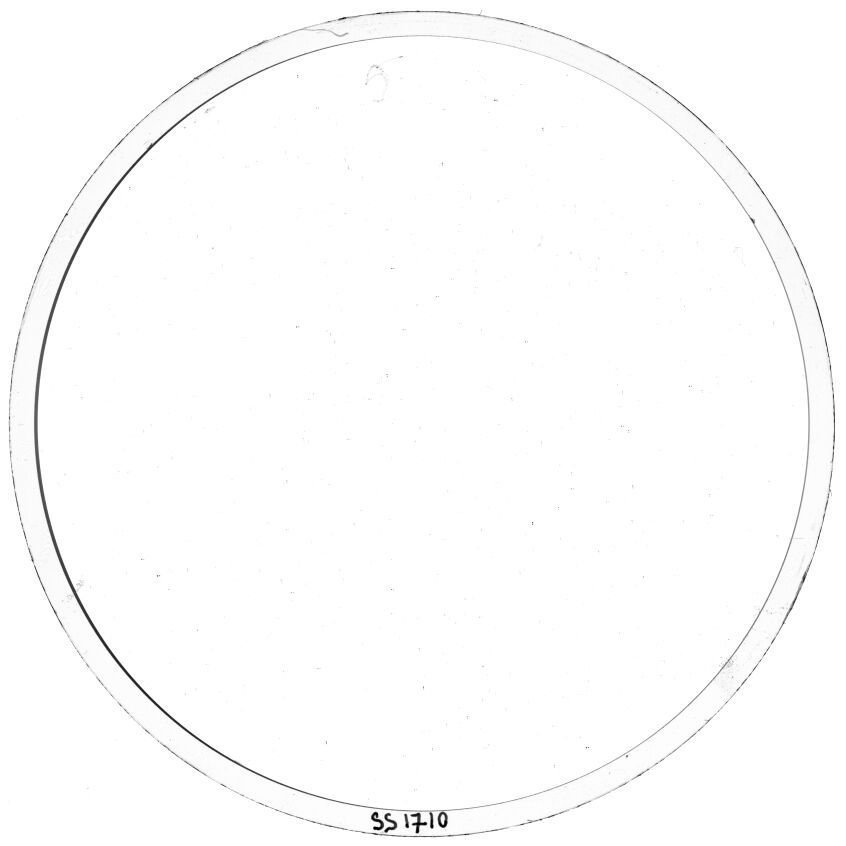 Scan SS01710