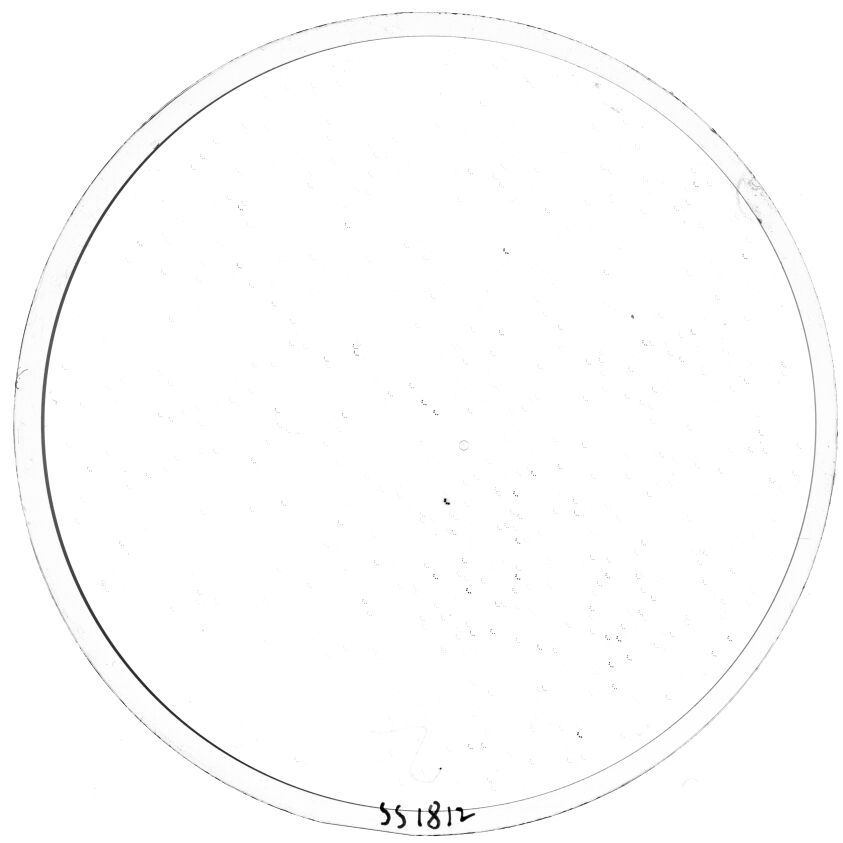 Scan SS01812