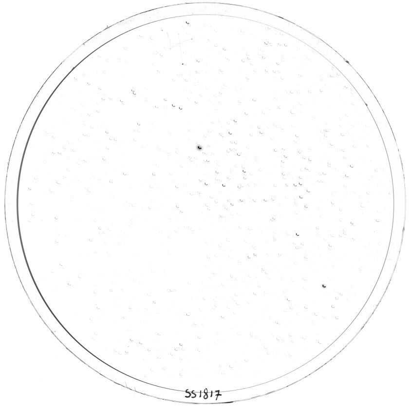 Scan SS01817