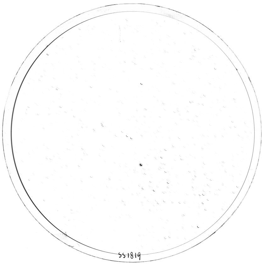 Scan SS01819