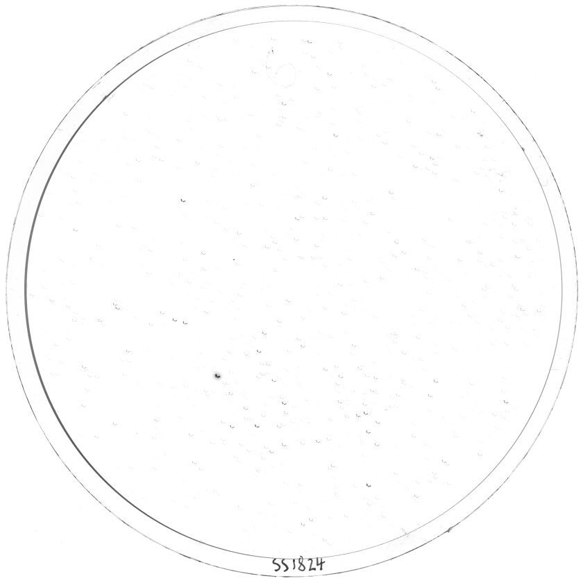 Scan SS01824