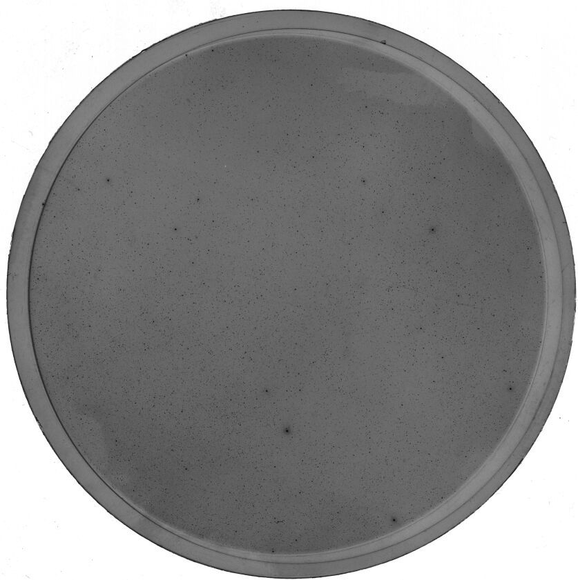 Scan SS01951