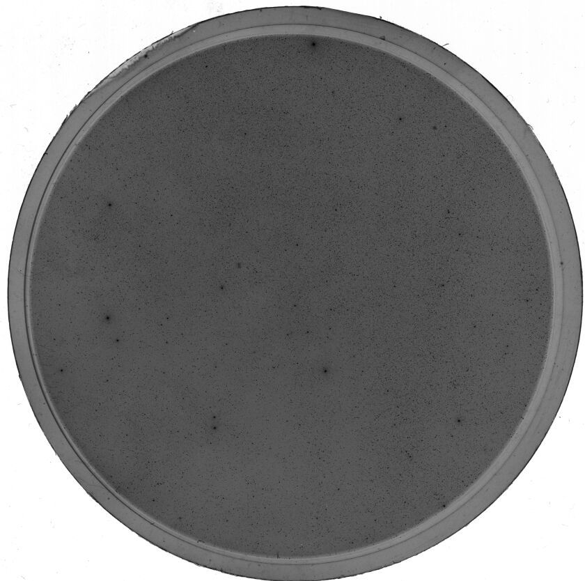 Scan SS01953