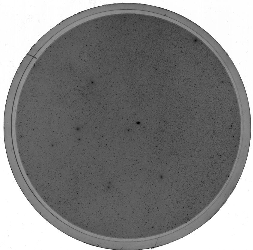 Scan SS01955