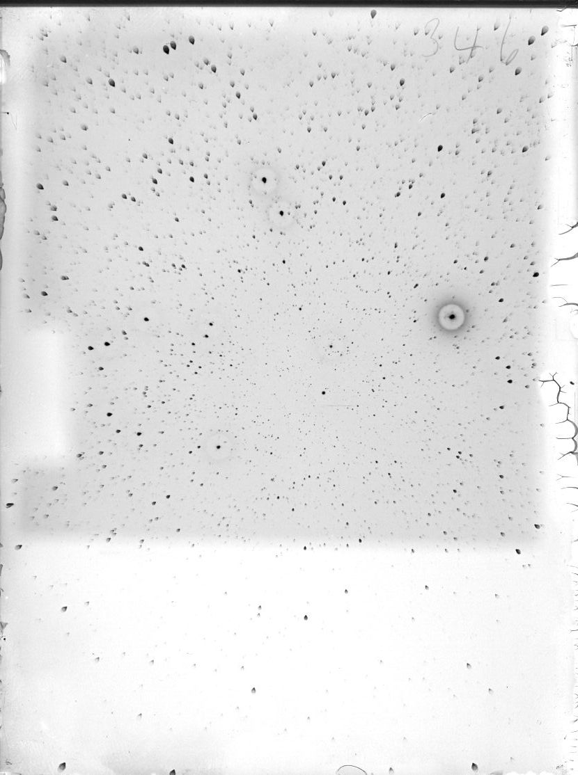 Scan ST00346