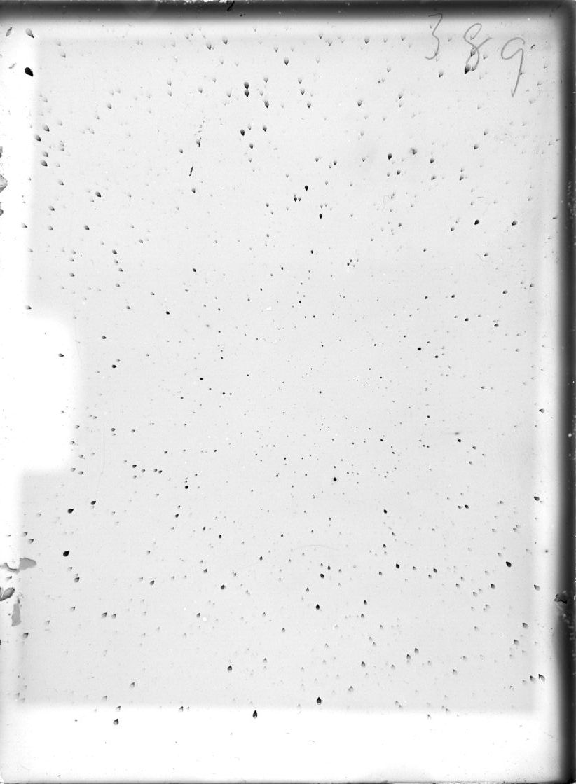Scan ST00389