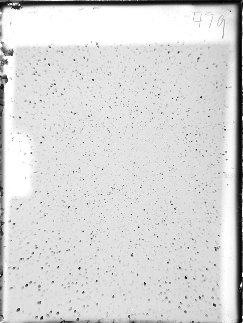 Scan ST00479