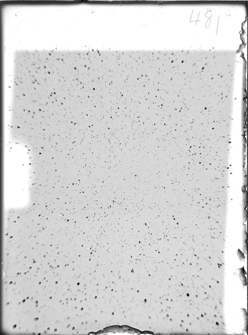 Scan ST00481