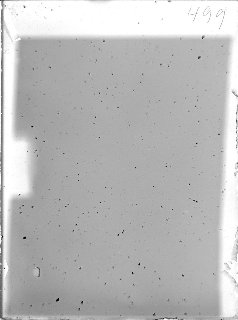 Scan ST00499