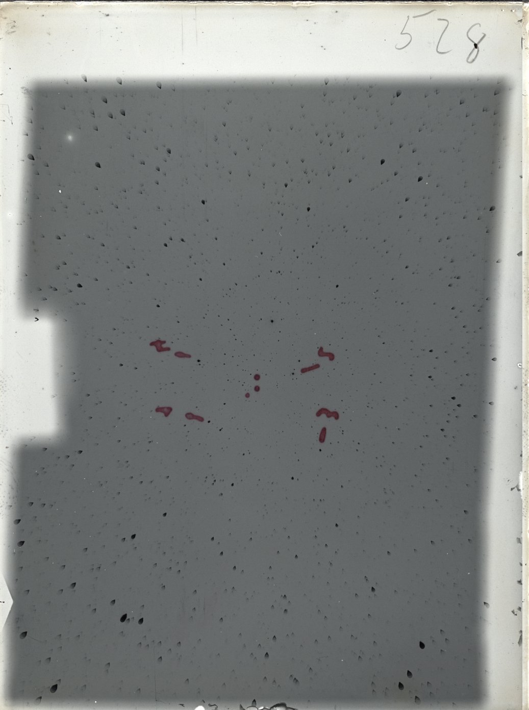 Scan ST00528