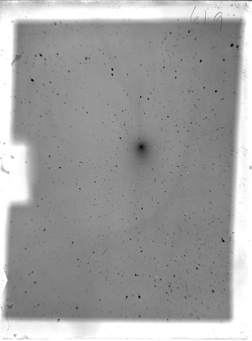 Scan ST00619