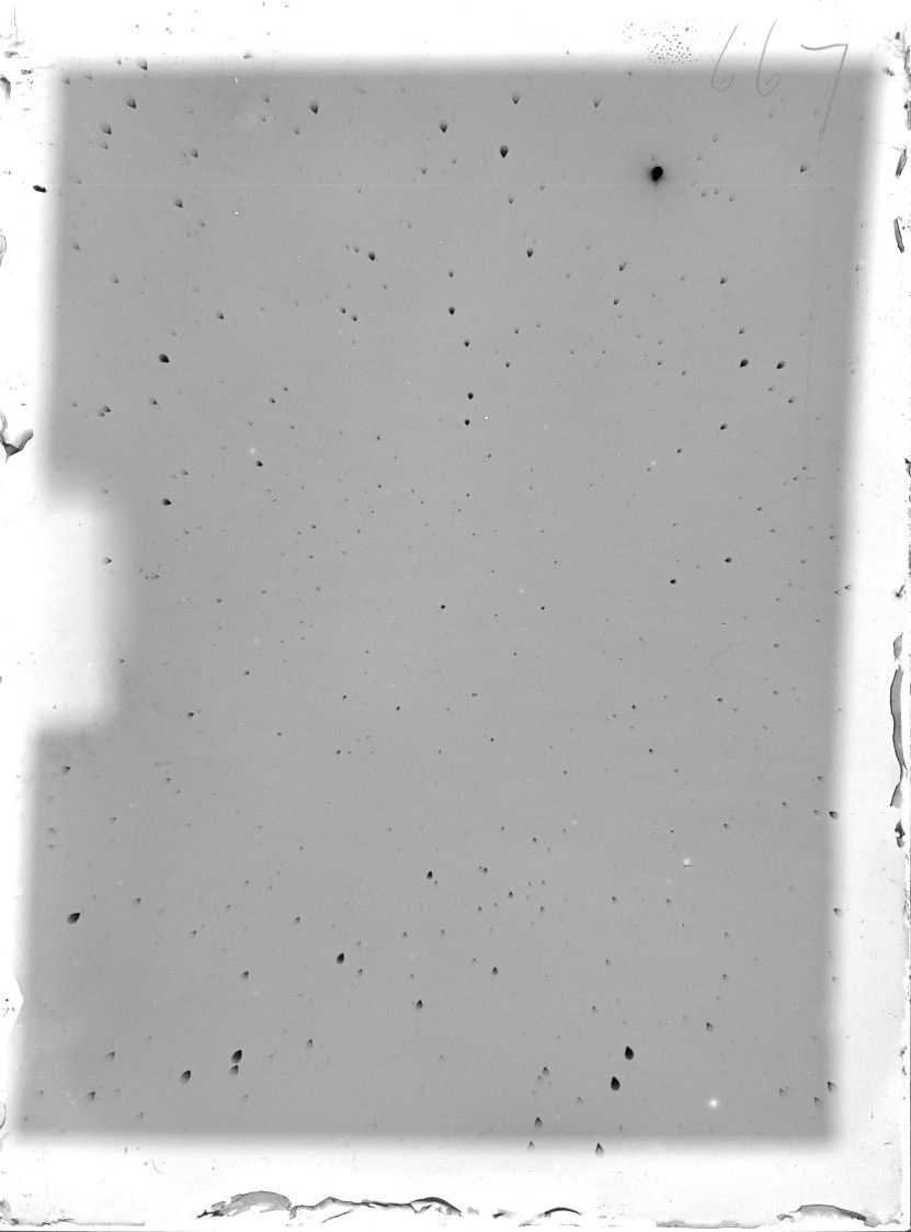 Scan ST00667