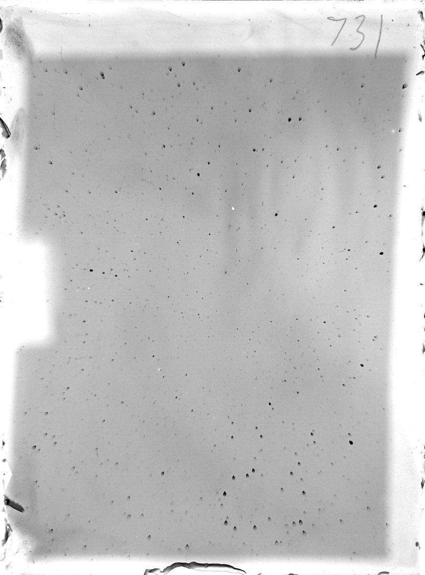 Scan ST00731