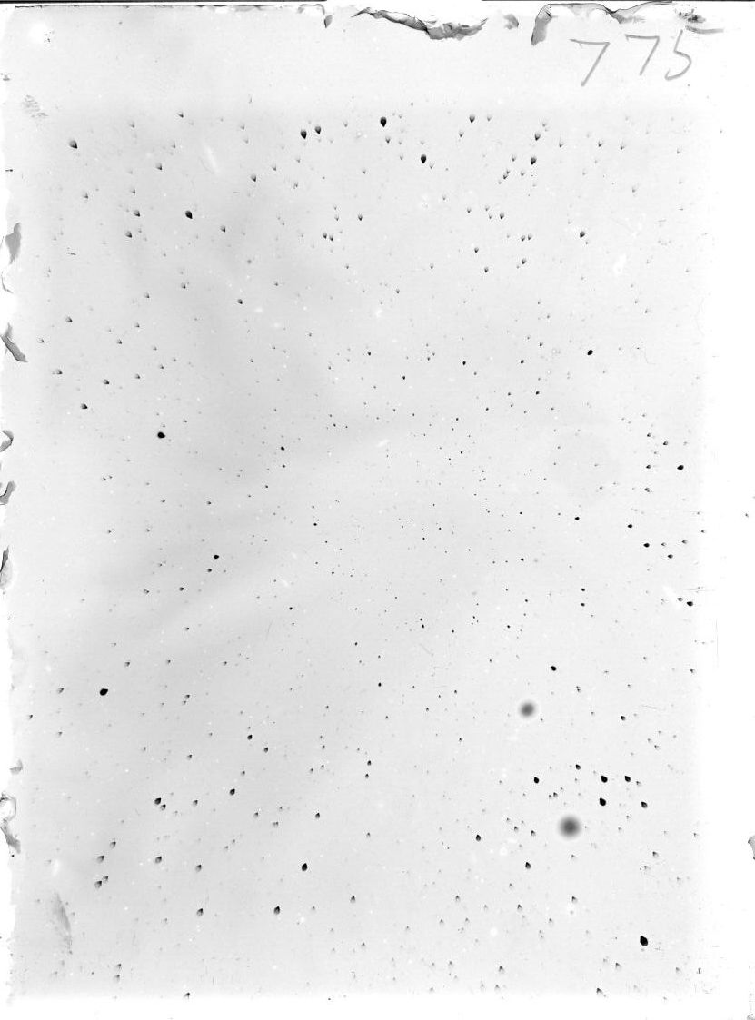 Scan ST00775
