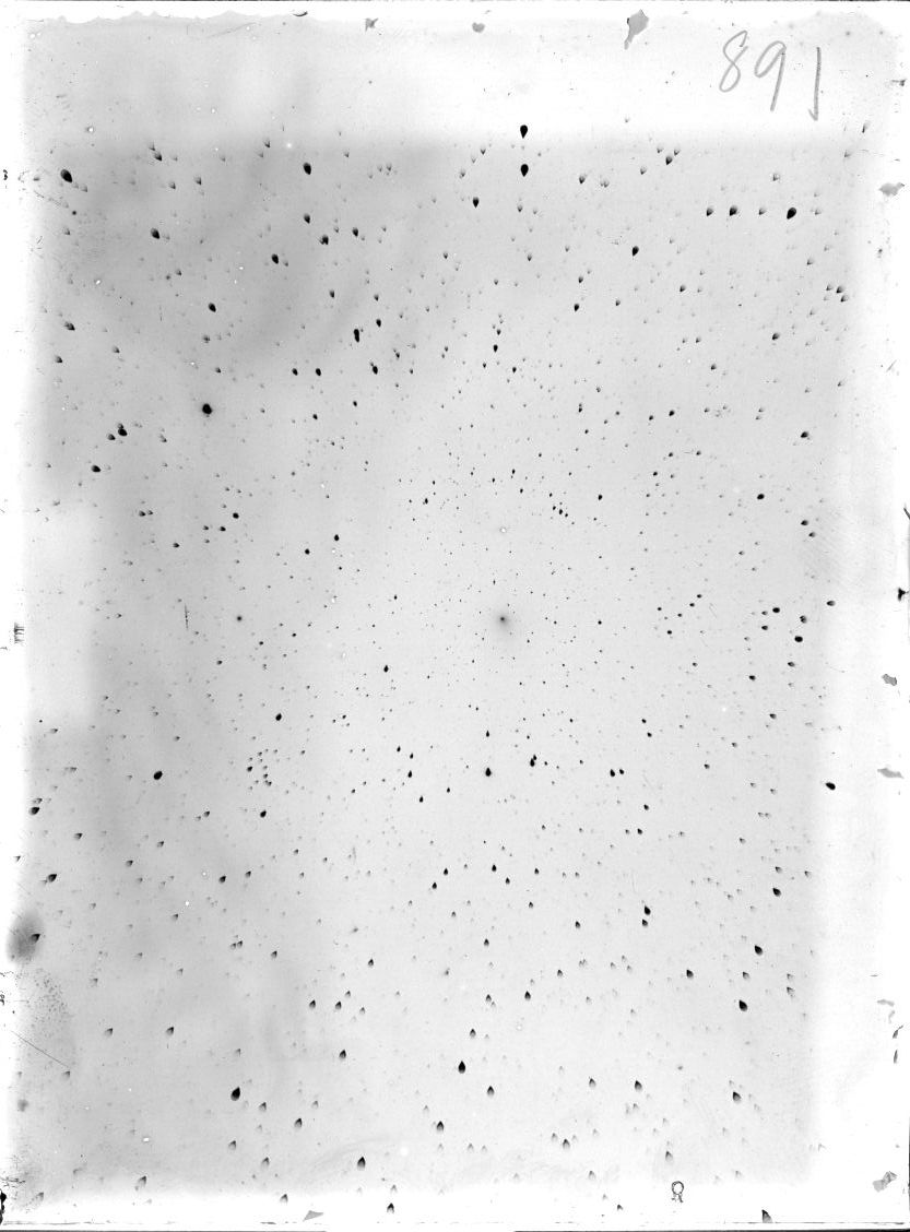 Scan ST00891